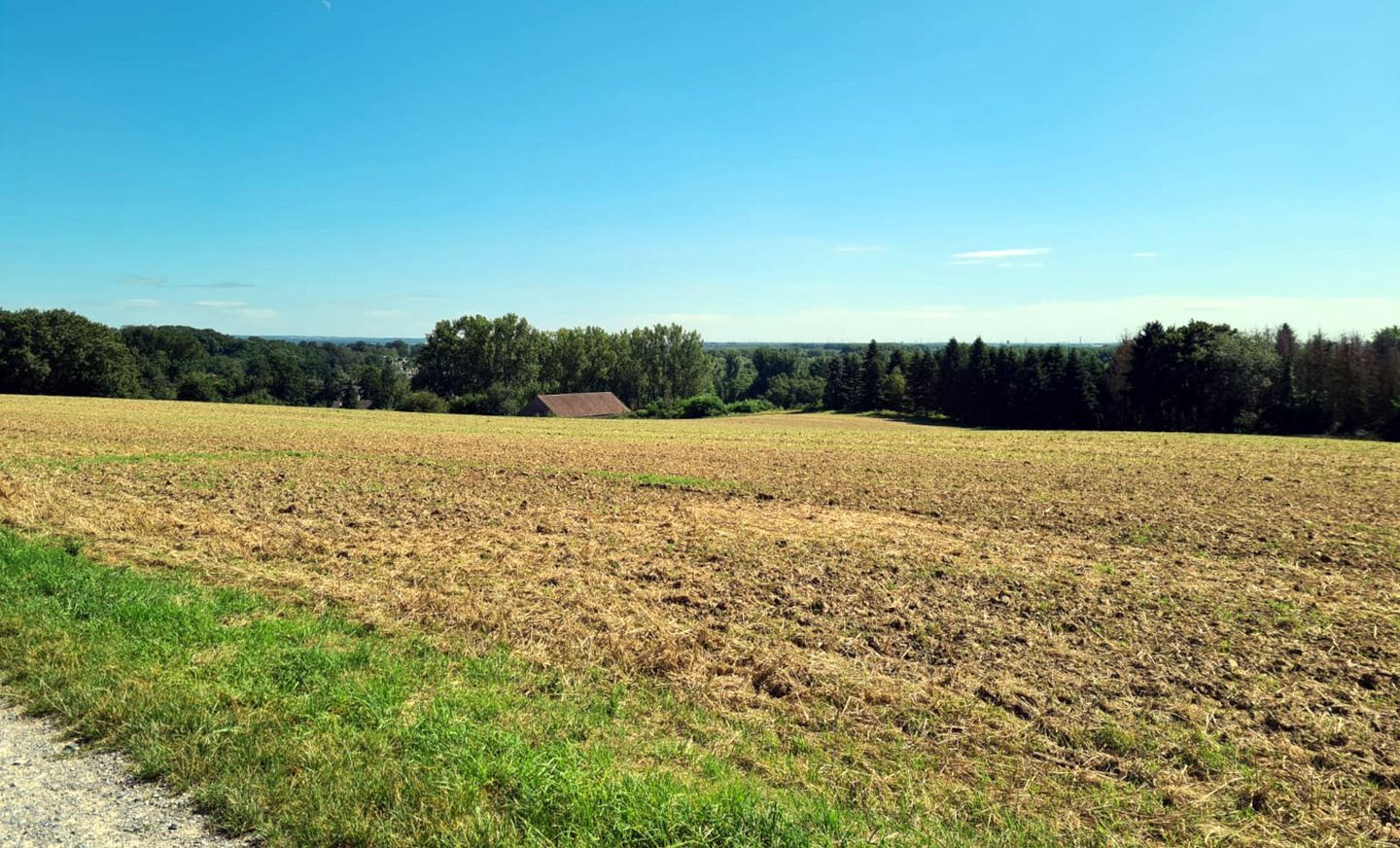 Schöner Ausblick in die Natur beim Wandern rund um Düsseldorf