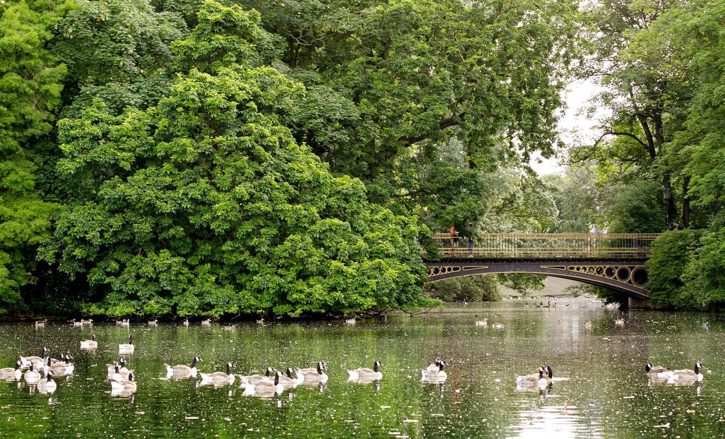 Goldene Brücke im Düsseldorfer Park Hofgarten