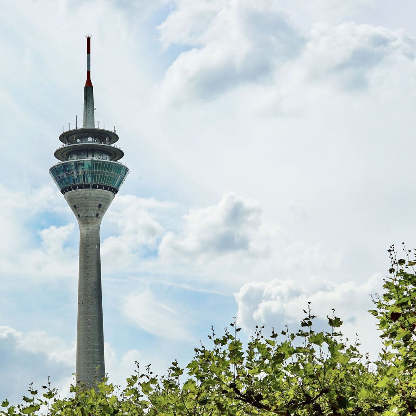 Der Düsseldorfer Fernsehturm ragt über grüne Baumwipfel
