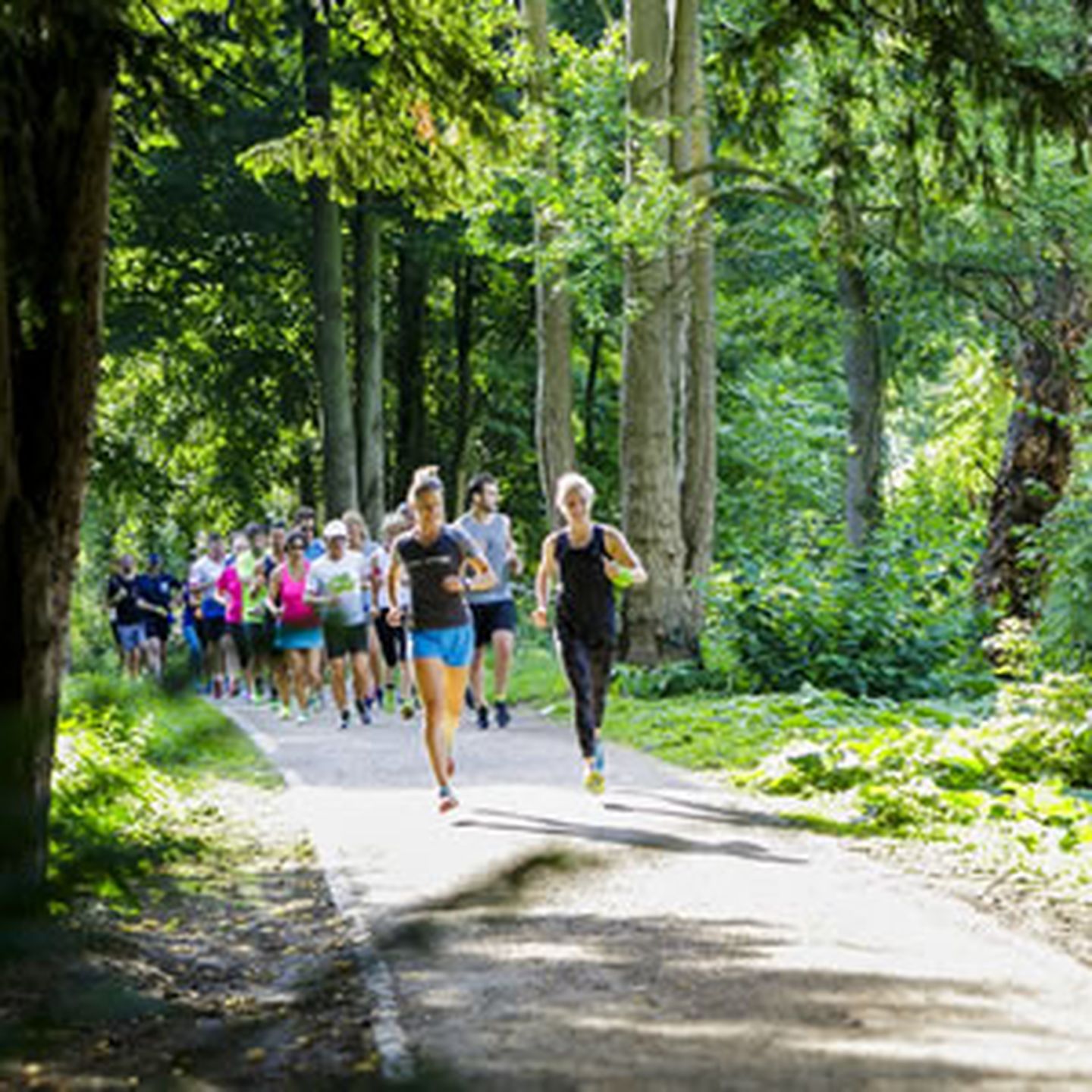 Lauftreffs 2017-12