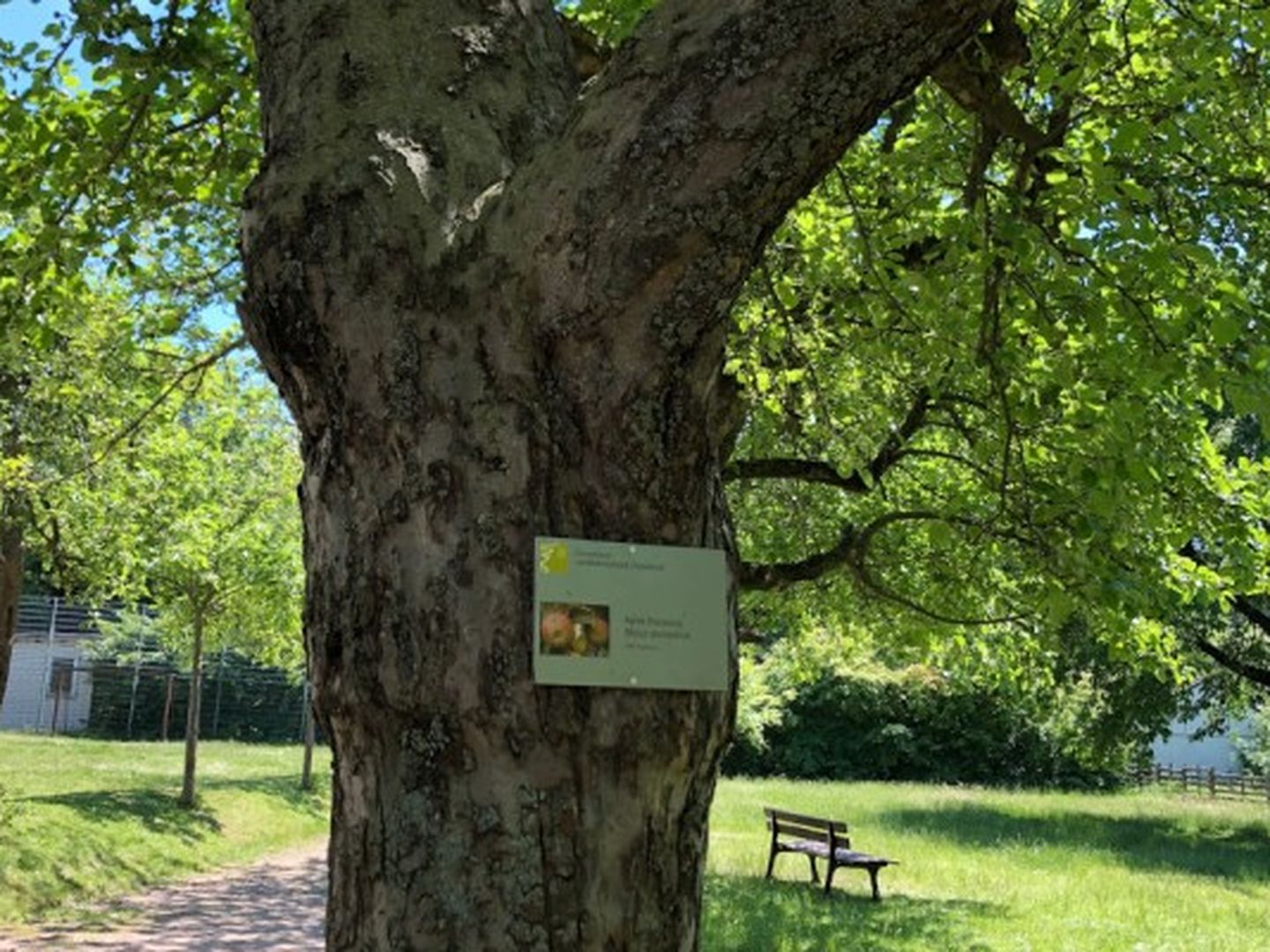 Phänologischer Garten Bildergalerie