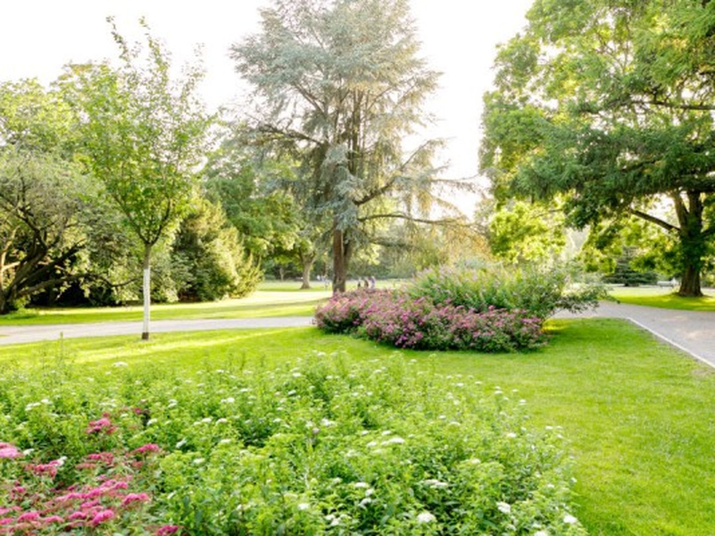 Hofgarten
