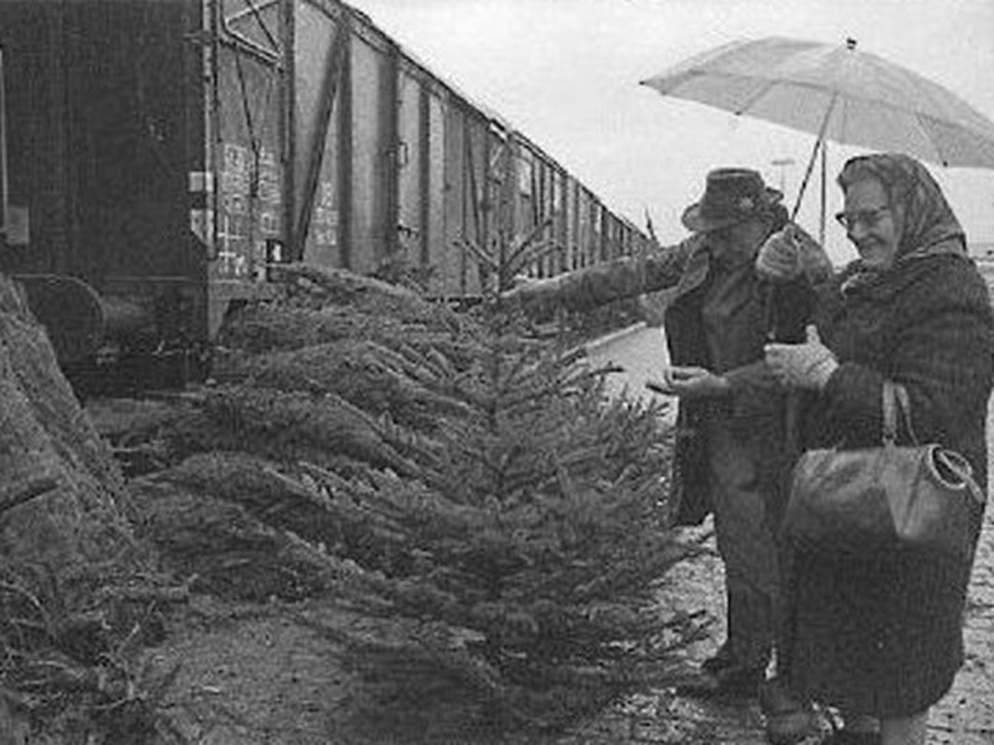 Ein Ehepaar sucht einen Weihnachtsbaum aus. © Stadtarchiv Düsseldorf