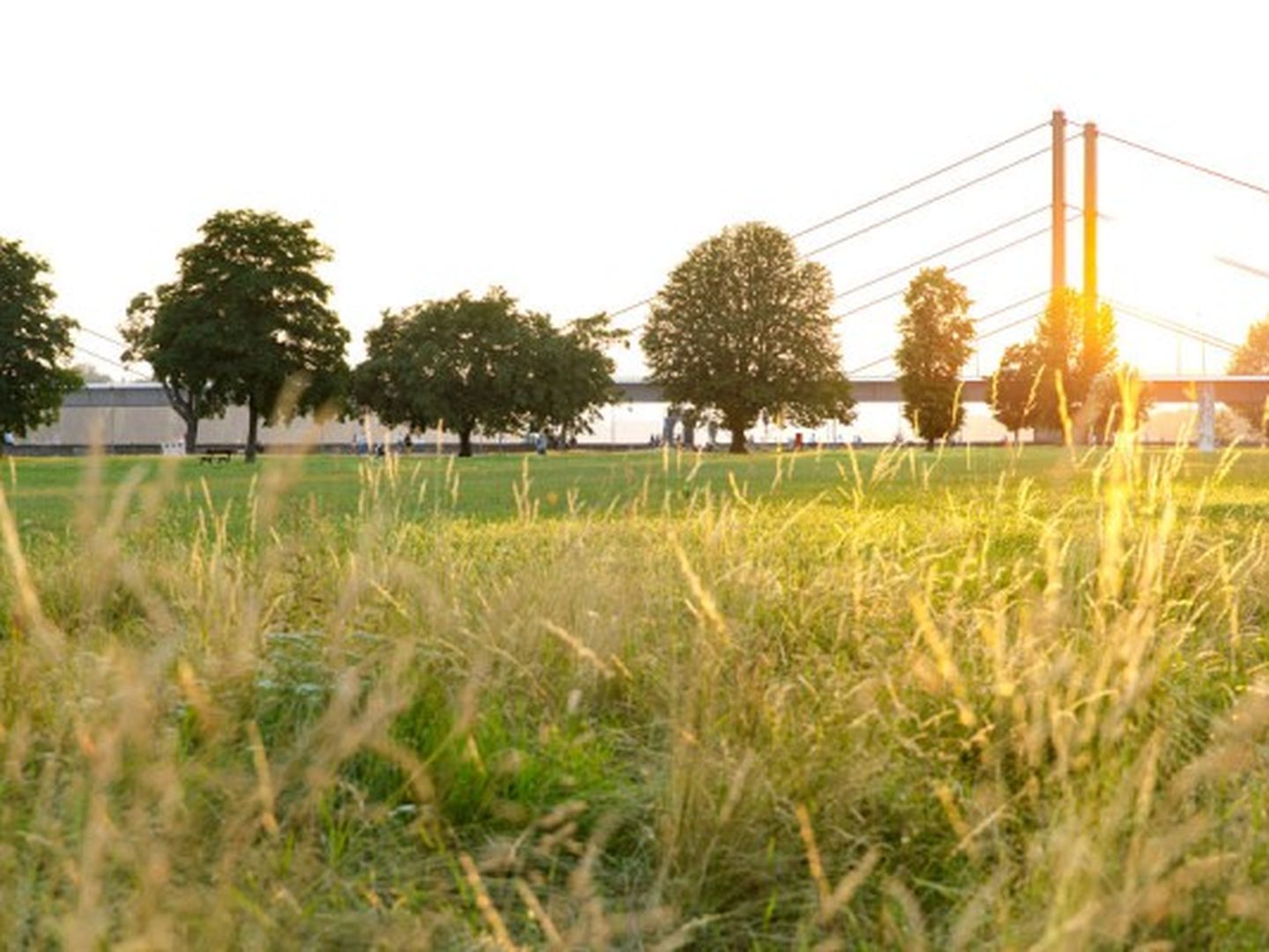 Rheinpark Golzheim