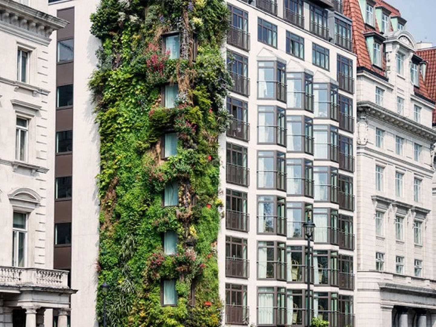 Urwald-Flair mitten in der Stadt: Urban Gardening at its best.