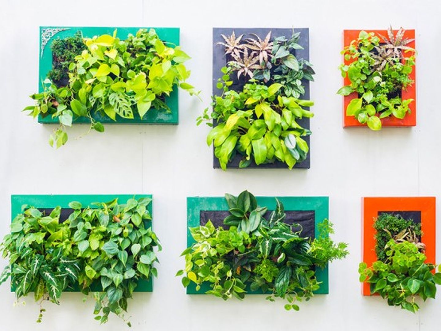 Der vertikale Garten ist nicht nur was für Freunde der Abwechslung, sondern auch der Küchenkräuter.