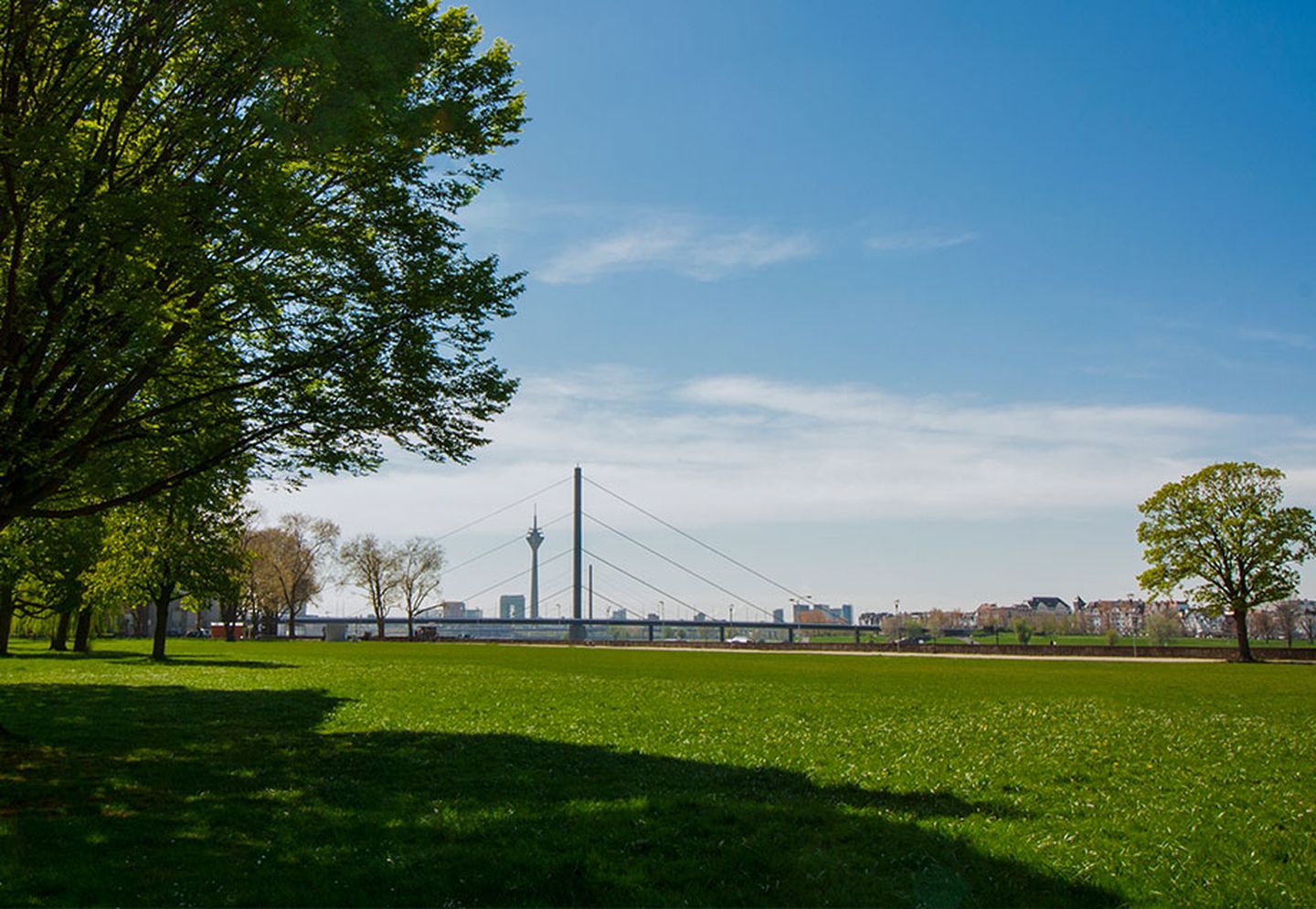 Die Rheinwiesen in Golzheim mit Blick auf die Rheinbrücken