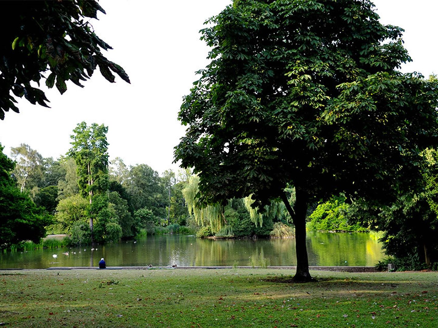 Der Düsseldorfer Zoopark hat auch einen See, der auch bei Enten sehr beliebt ist.