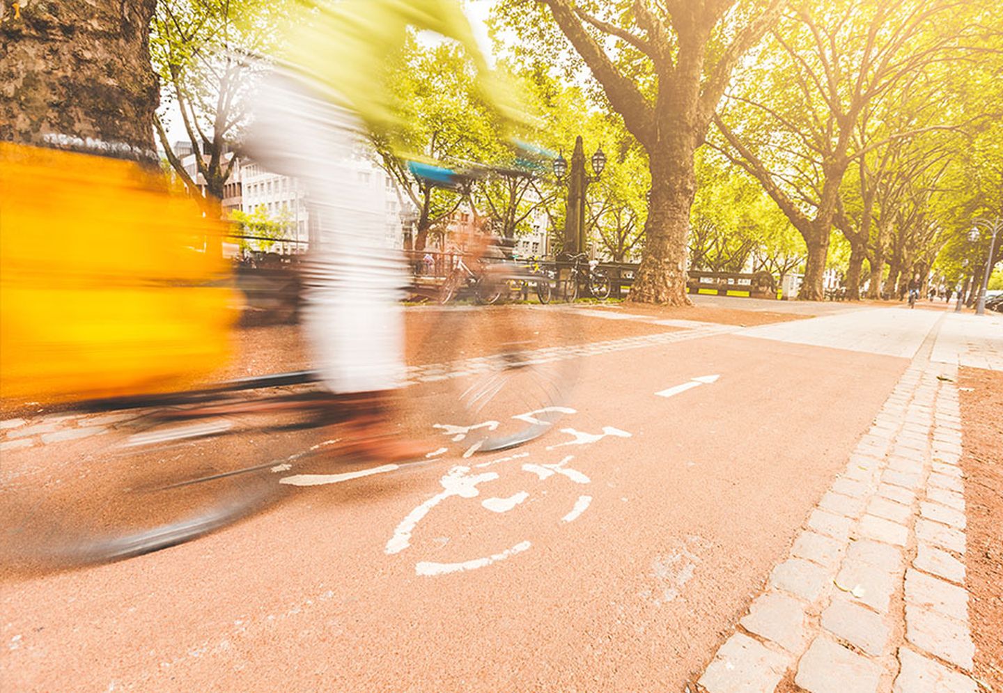 Ein Radweg auf der Königsallee, im Sommer. 