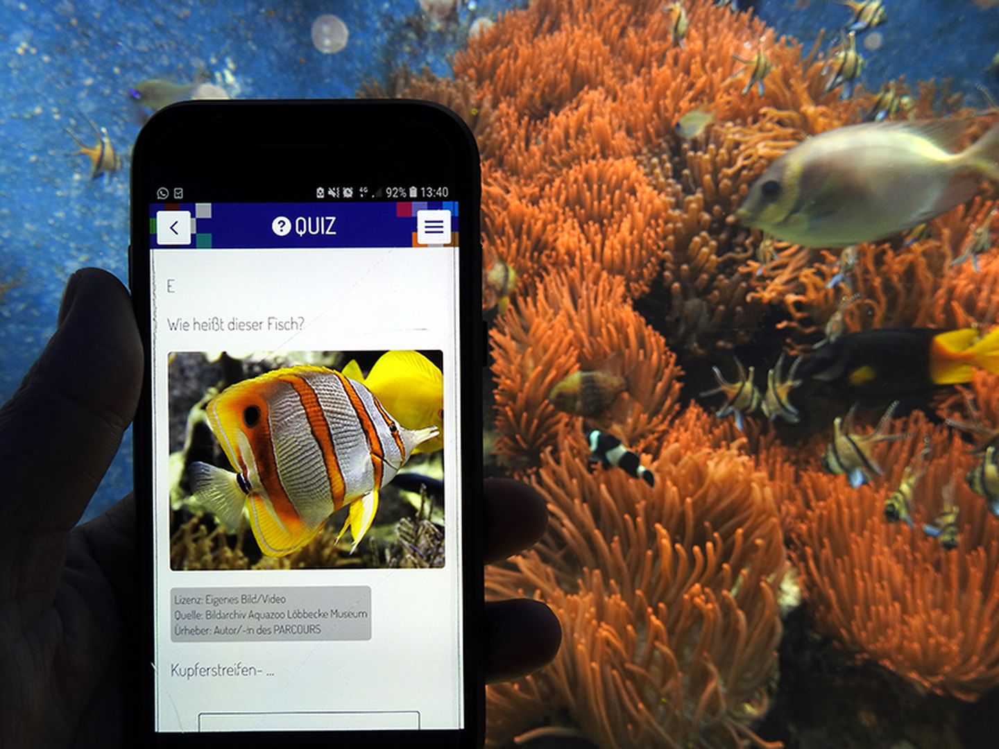 Die Smartphone-App „Biparcours“ im Museumseinsatz.