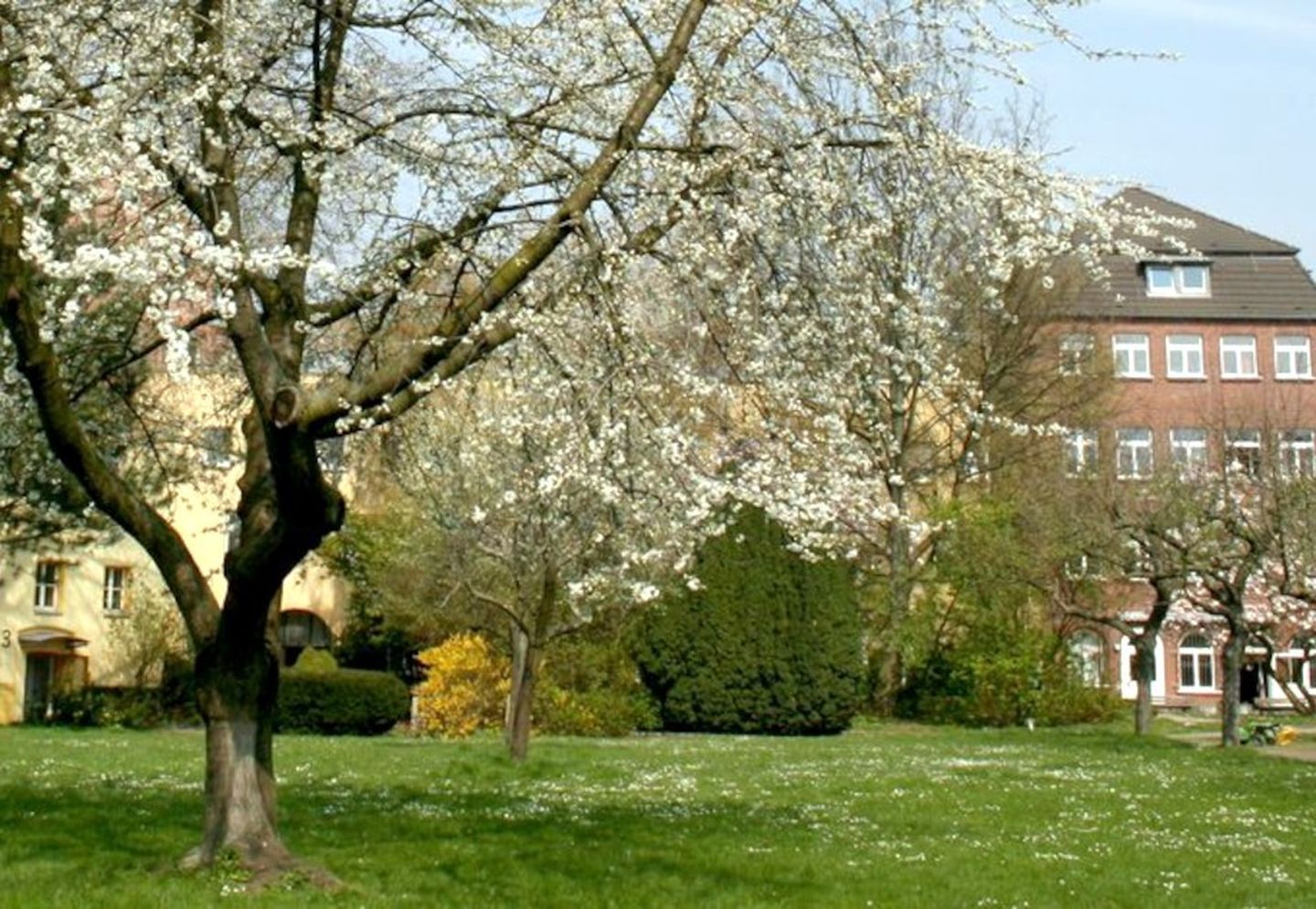 Der Phänologische Garten in Düsseldorf mit Häusern im Hintergrund