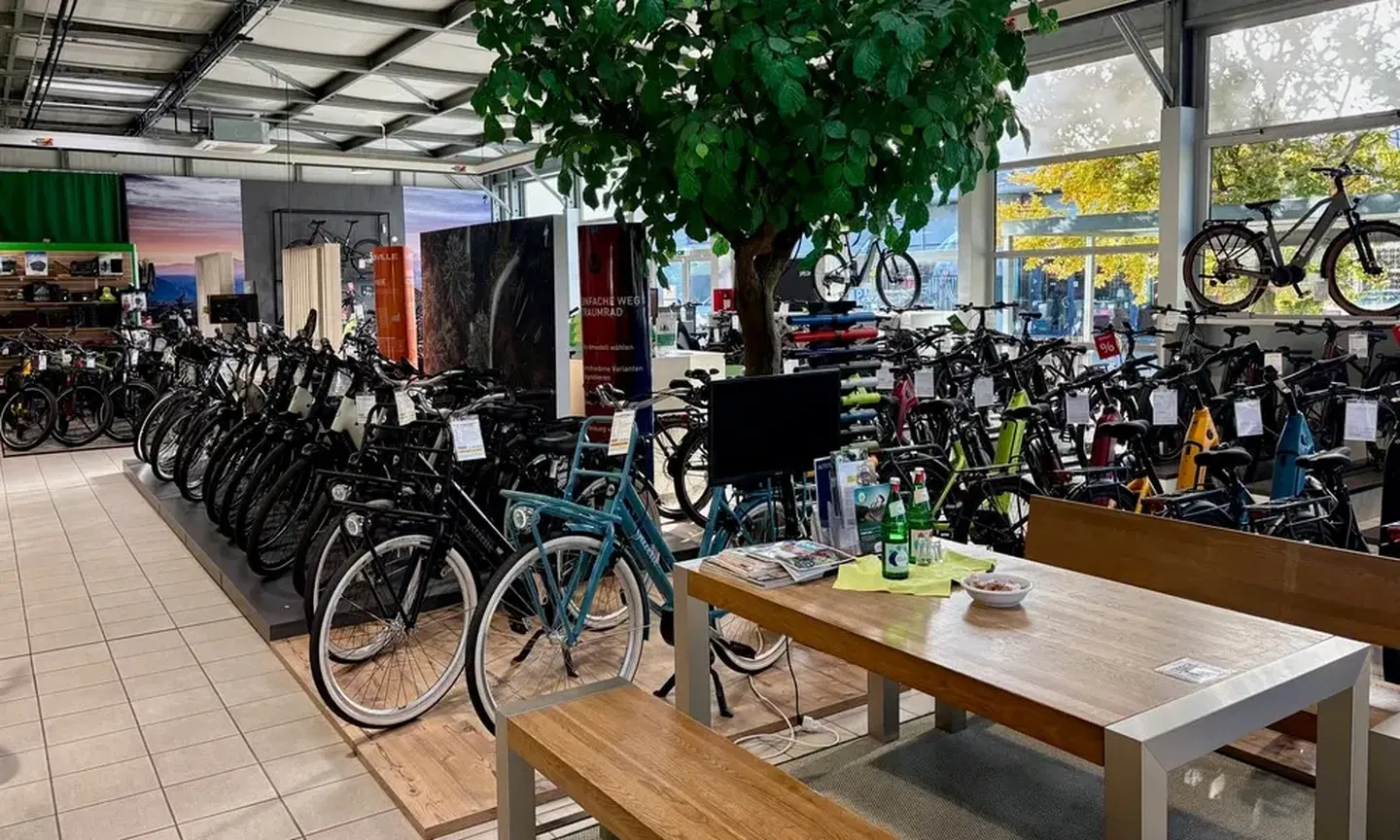 Eine Auswahl an E-Bikes im e-motion Shop in Düsseldorf