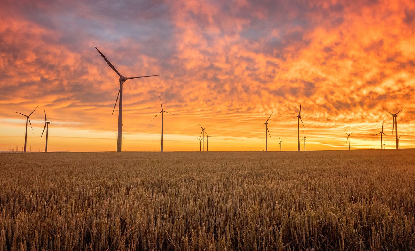 Strom: Windmühlen auf einer Wiese bei Sonnenuntergan