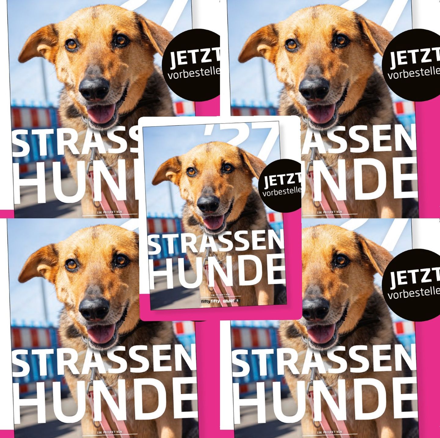 Straßenhunde Kalender 2027 von fiftyfifty