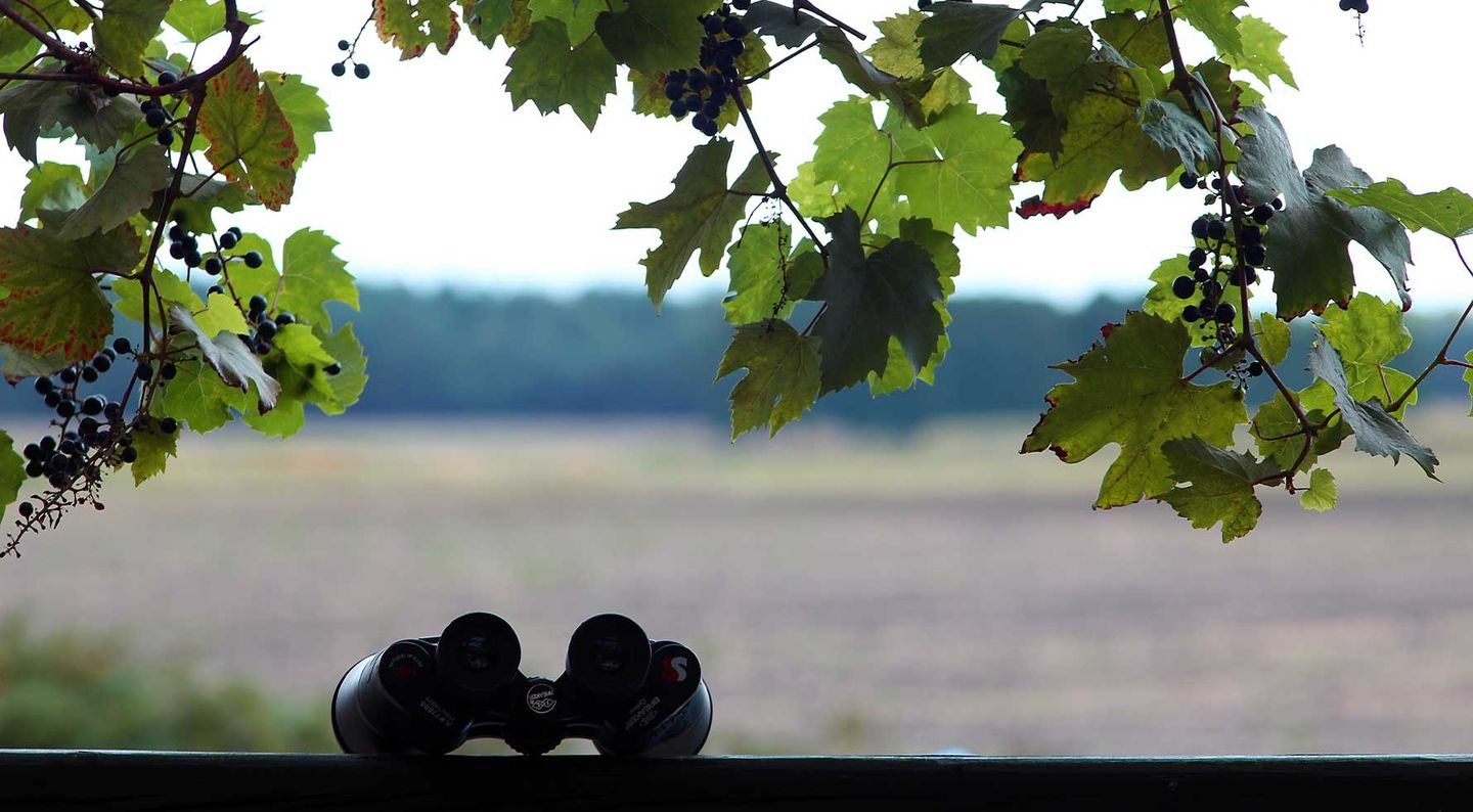 Ein Fernglas vor einer Landschaft  ©Admiral_Lebioda via Getty Images