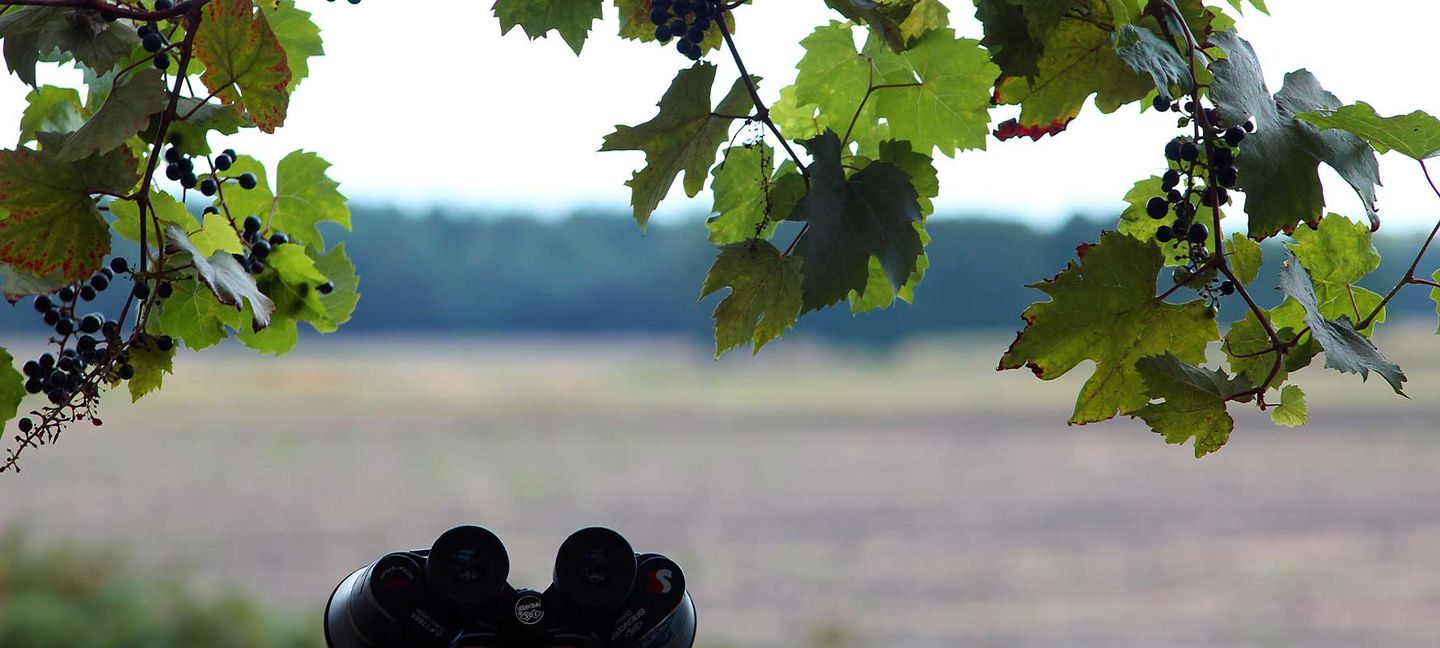 Ein Fernglas vor einer Landschaft  ©Admiral_Lebioda via Getty Images