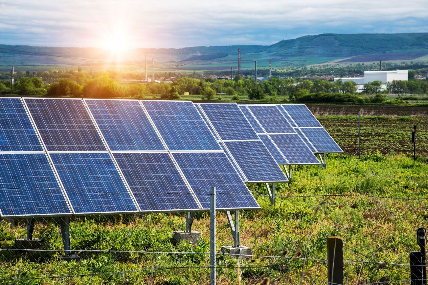 Agri-PV: Orangenbaumplantage und Solarkraftwerk © DiyanaDimitrova / iStock/ Getty Images Plus via Getty Images © DiyanaDimitrova / iStock/ Getty Images Plus via Getty Images