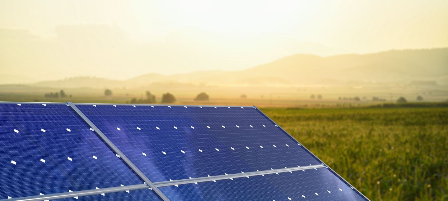 Blaue Module einer Agri-PV-Anlage auf einer Anbaufläche. © baranozdemir / iStock / Getty Images Plus via Getty Images © baranozdemir / iStock/ Getty Images Plus via Getty Images