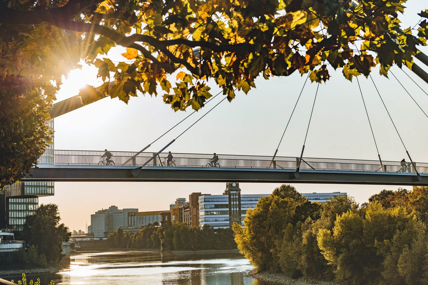Radfahrer:innen auf einer Brücke über dem Rhein in Düsseldorf. © golero / E+ via Getty Images