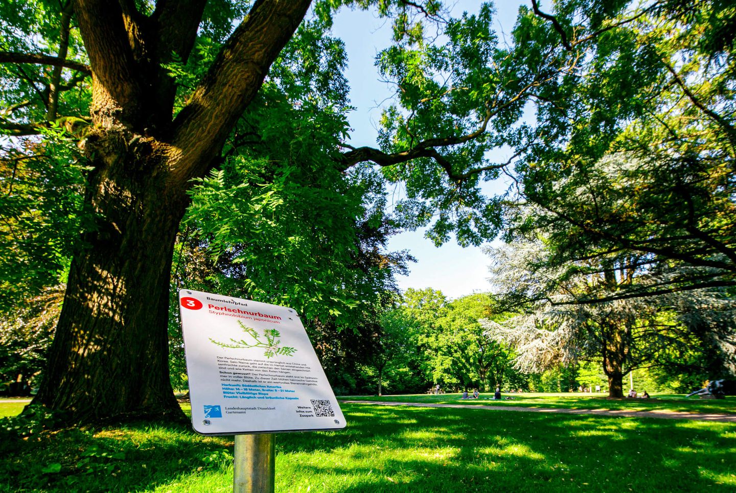 Der Baumlehrpfad im Zoopark Düsseldorf mit Schild zum Perlschnurbaum © Ulrik Eichentopf