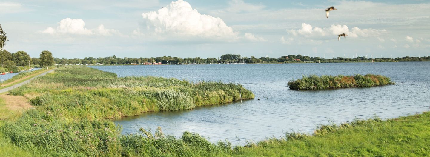 Natur in Ostfriesland