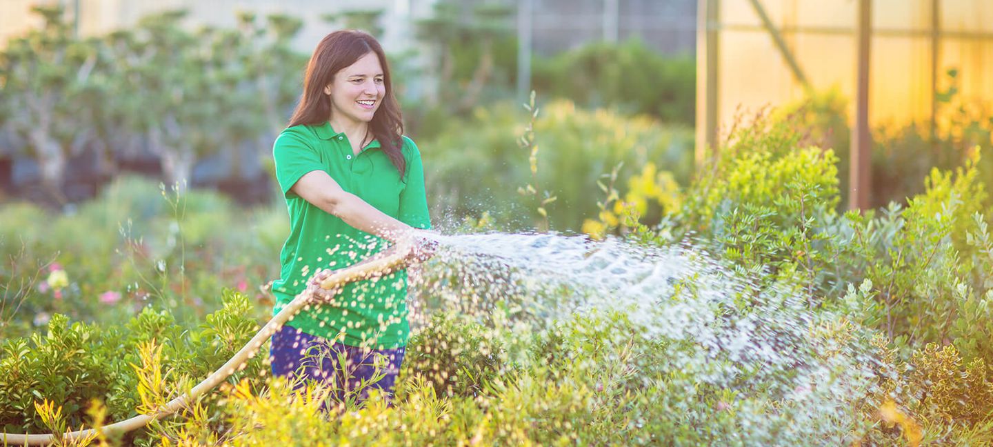 Eine Frau bewässert einen Garten mit einem Schlauch