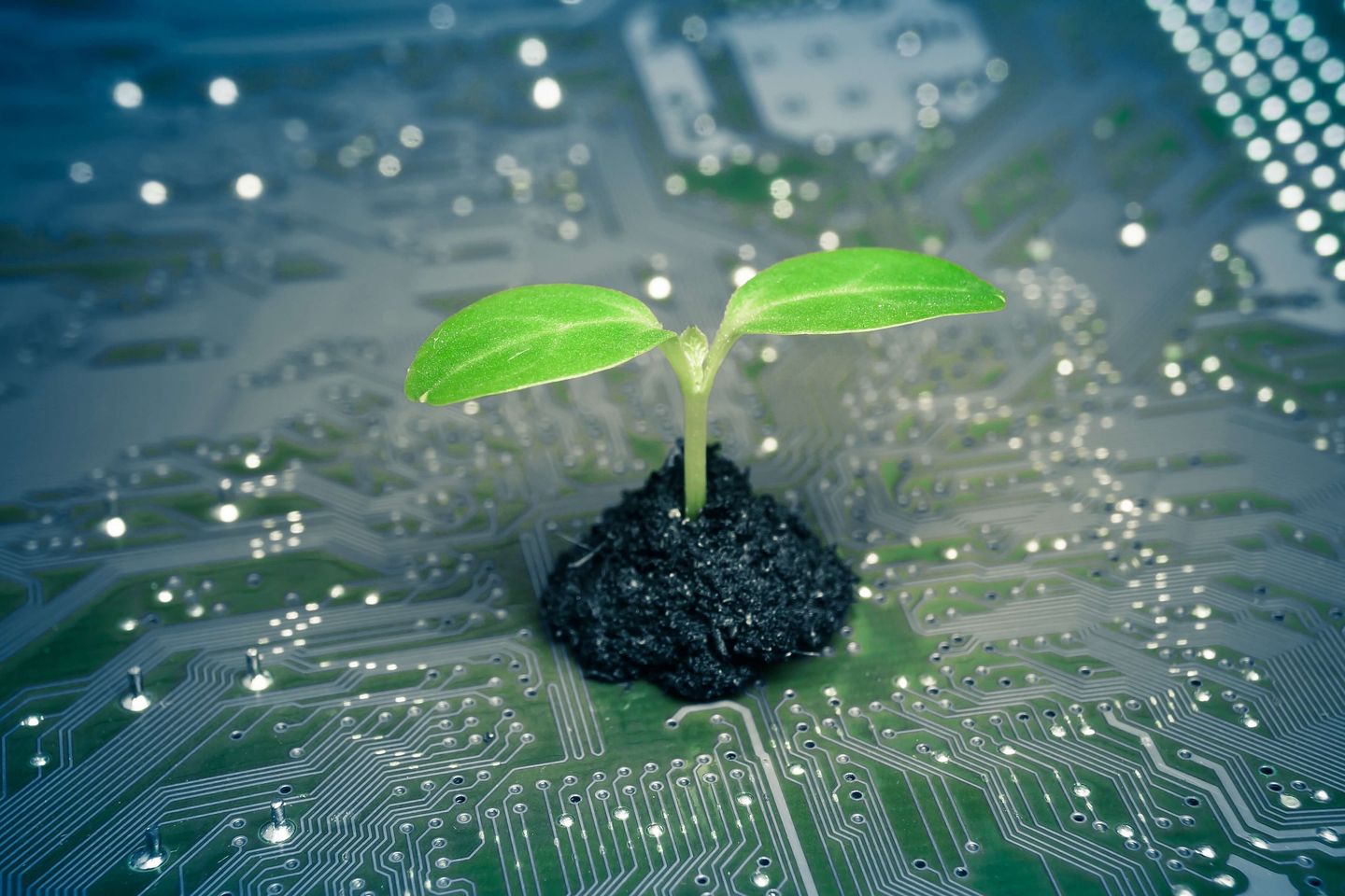 Ein grüner Sprössling wächst aus einem kleinen Erdhügel auf einer Computerplatine. © weerapatkiatdumrong / iStock via Getty Images