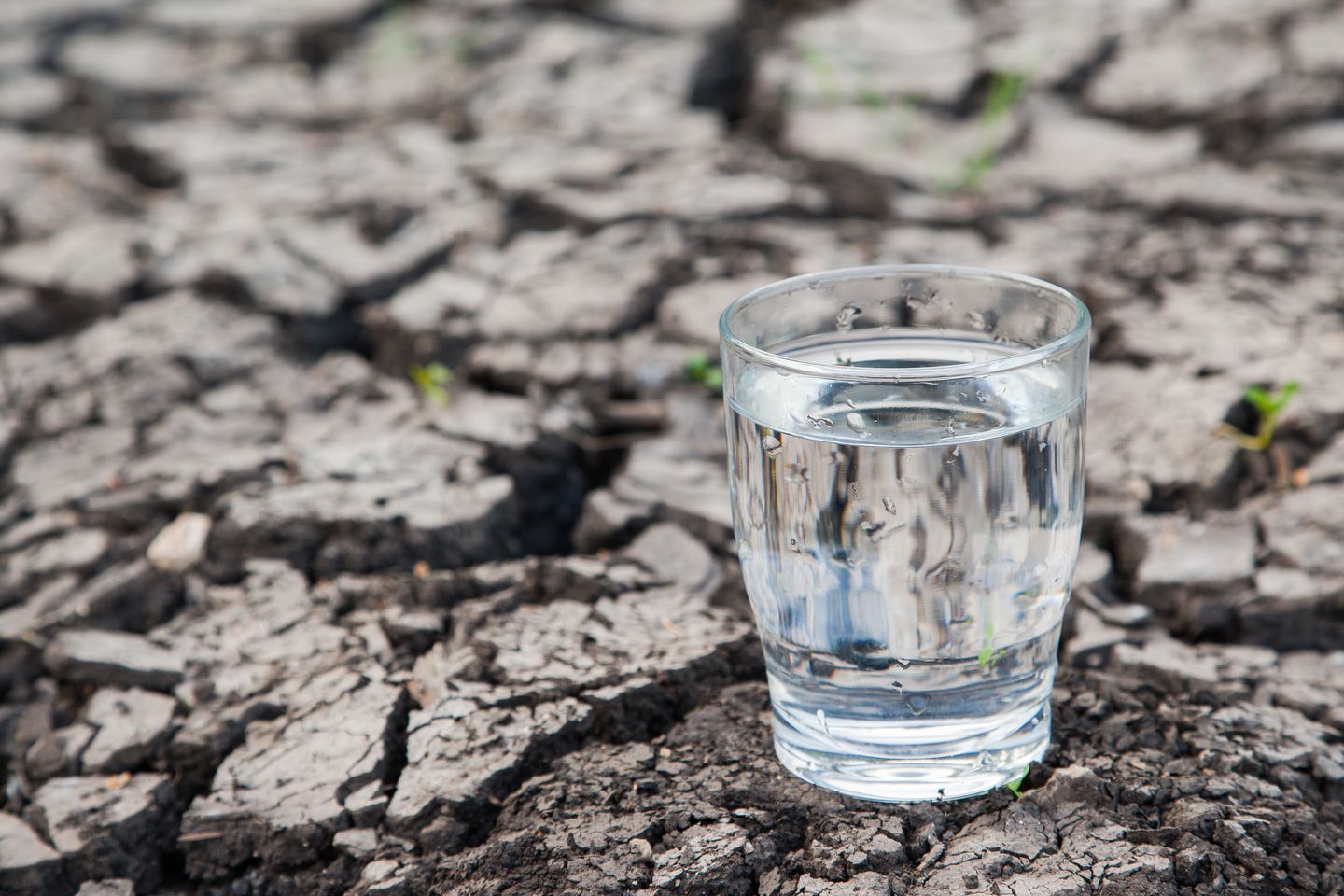 Glas mit Wasser auf trockenem, rissigem Boden Edgar G. Biehle via Getty Images