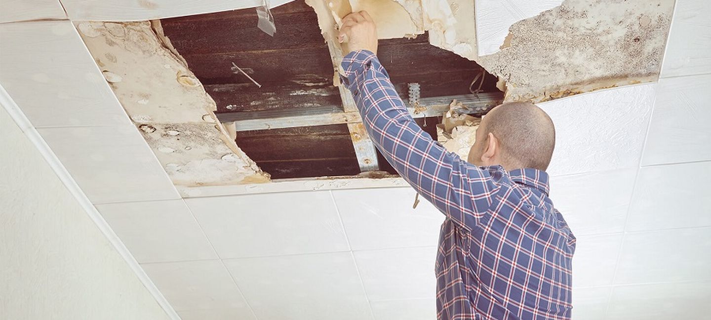 Ein Handwerker repariert eine verschimmelte Decke in einem Haus.