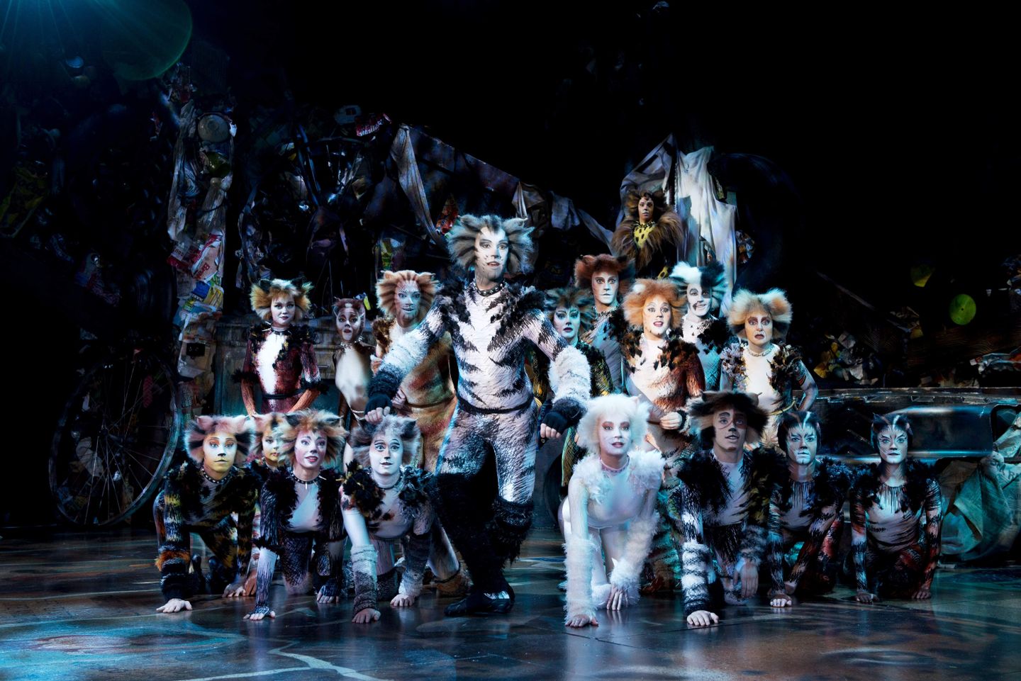 Darsteller:innen des Musicals CATS führen eine Choreografie in ihren Katzenkostümen vor. © Alessandro Pinna