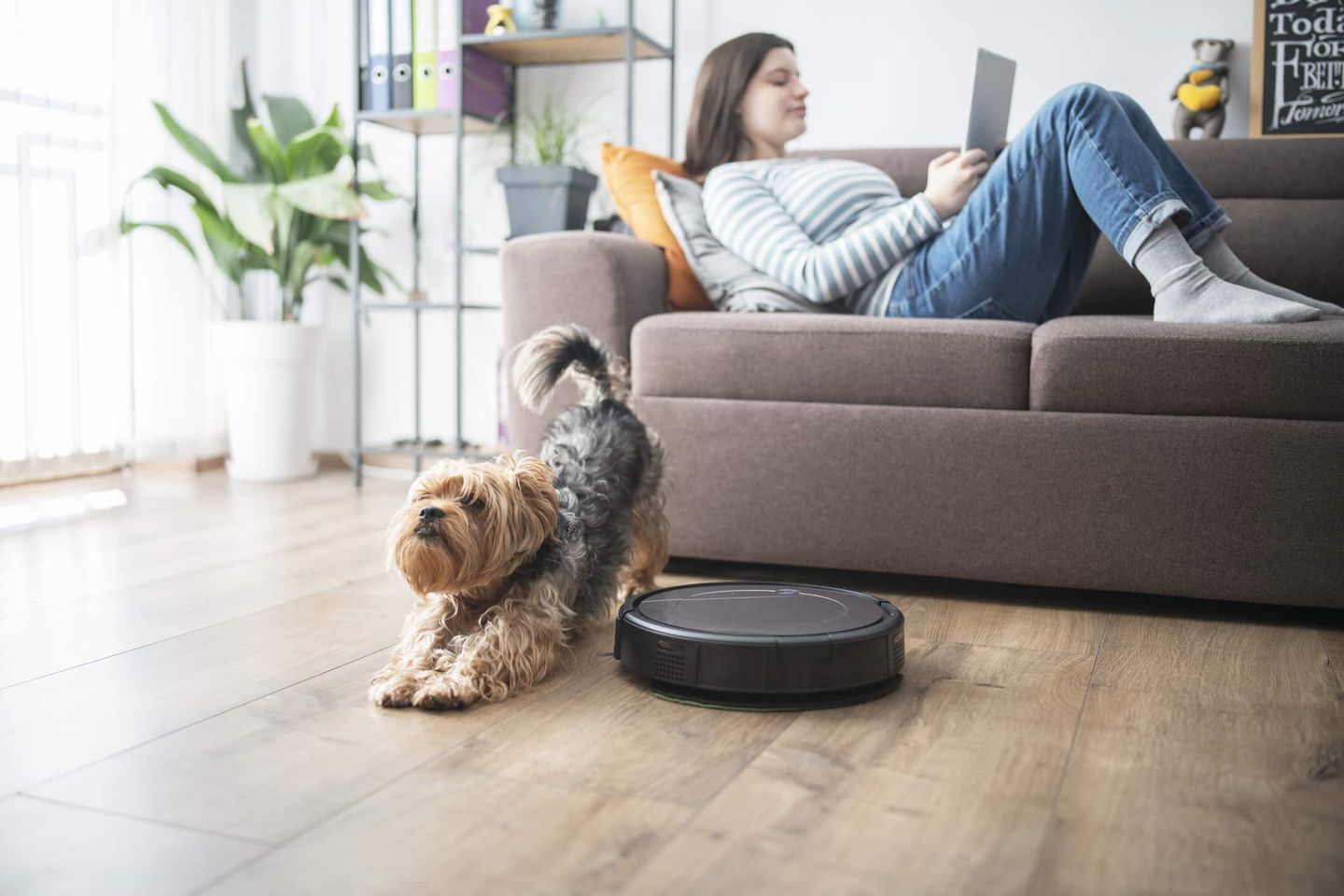 Frau entspannt auf Sofa, während Hund neben einem Staubsaugerroboter auf dem Boden spielt Getty