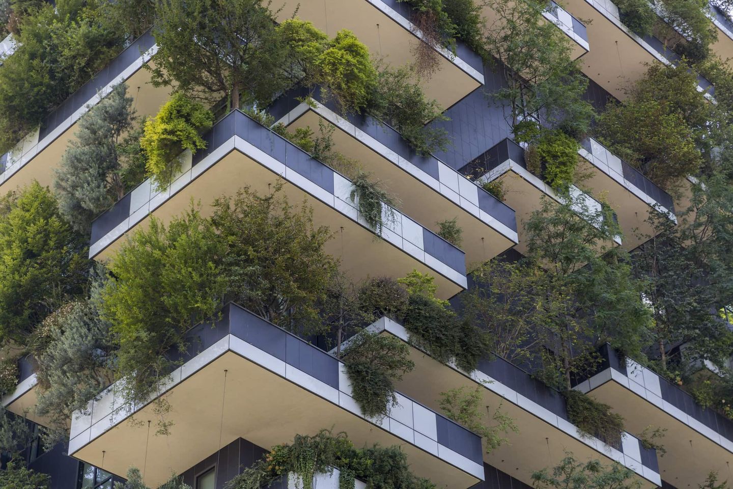 Fassaden moderner Wohnhäuser mit bepflanzten Balkonen und urbanem Grün Getty