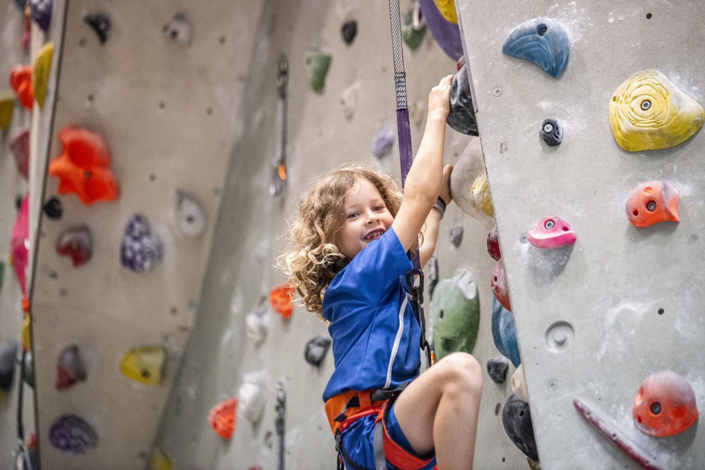 Ein fröhliches Kind mit lockigen Haaren klettert an einer Indoor-Kletterwand mit bunten Griffen und trägt ein Klettergeschirr zur Sicherung.
