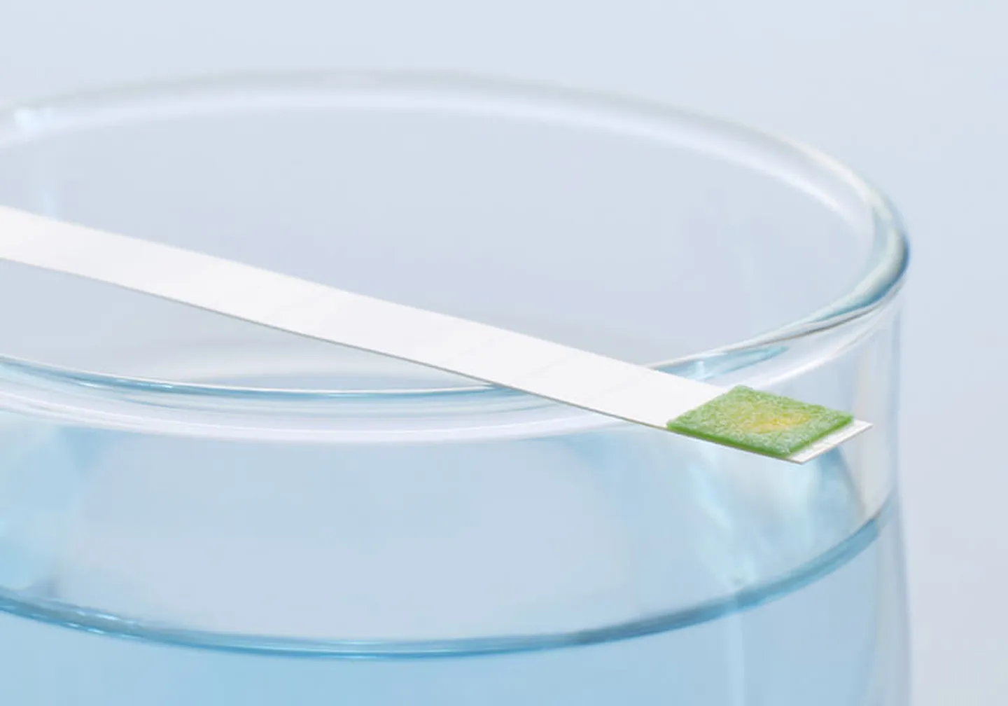 Ein Wasserglas mit einem Stäbchen zur Messung der Wasserhärte
